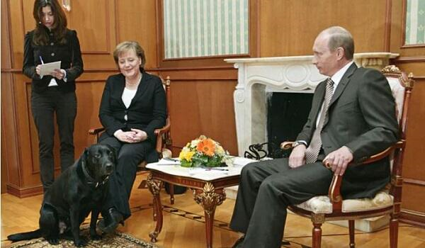 Putin Merkellə görüşə itini gətirmişdi, Trampla isə… - KİV